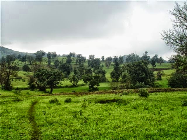 Subhadra Tranquil- River Touch Farm Plots